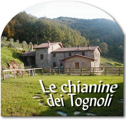 Hotel Le Chianine Dei Tognoli Gragnola Exteriér fotografie